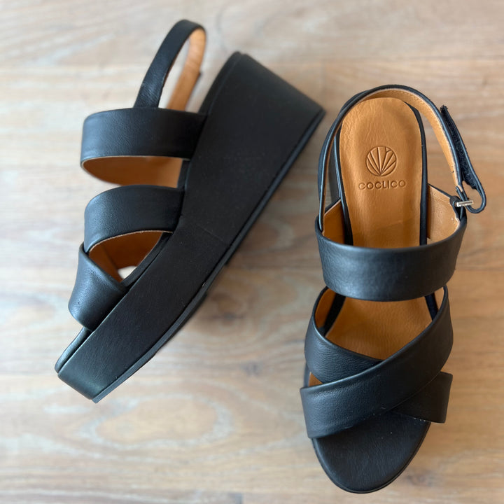 COCLICO LACINE