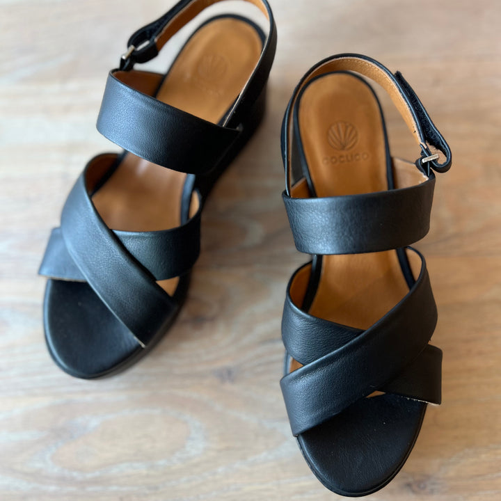 COCLICO LACINE
